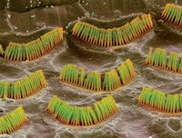 5-4-3-2-1-mg22229662.400-2_300