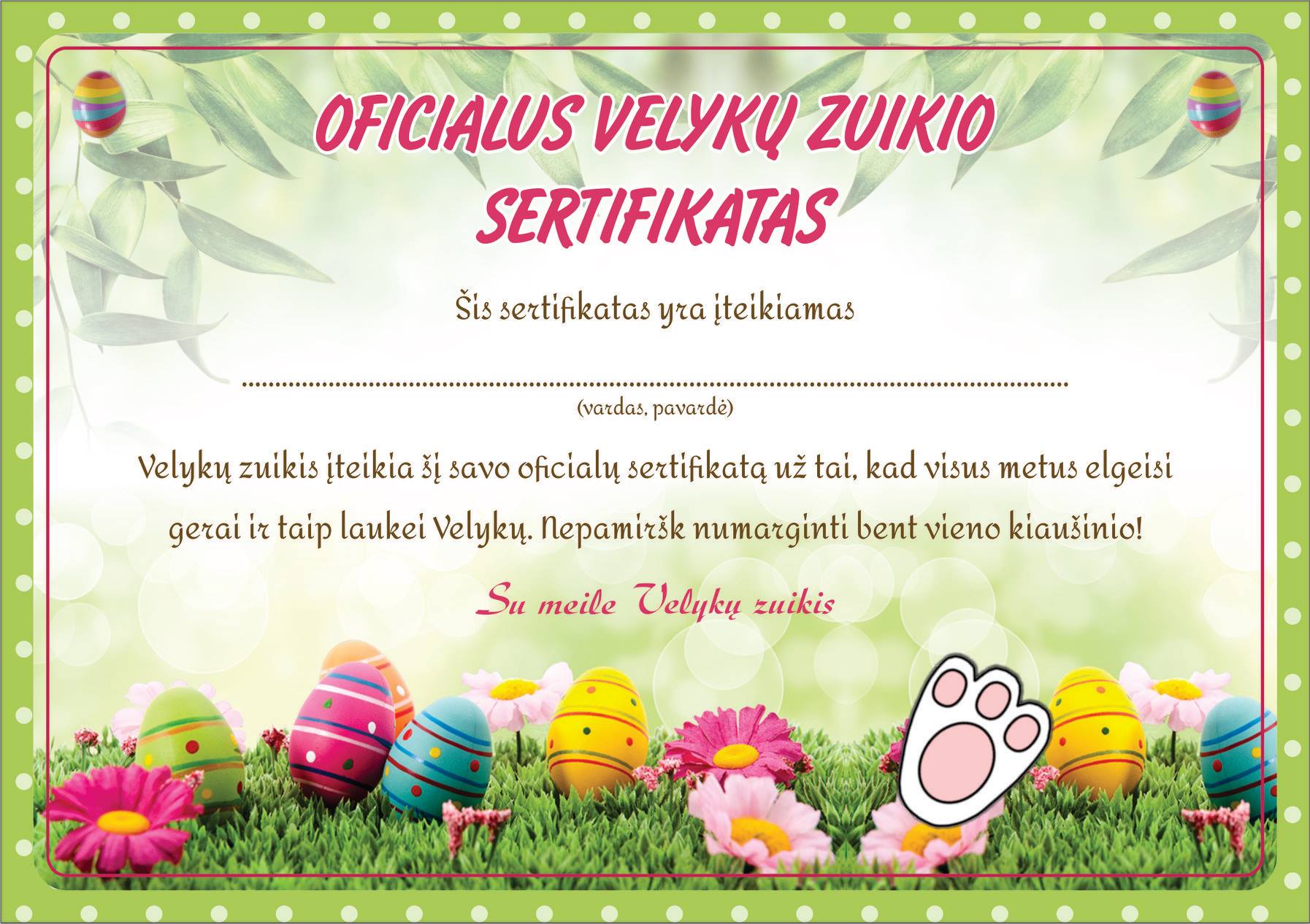 29366002_1873481452768467_164739543721836544_o