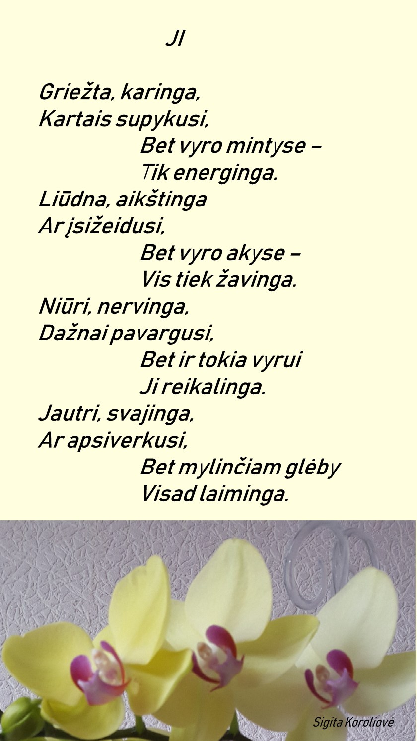 sveikinimas 2019
