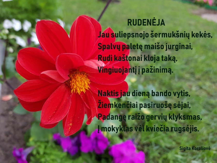 Rugsėjo pirmosios sveikinimas RUDENĖJA