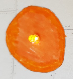 20190926_123428 - Copy