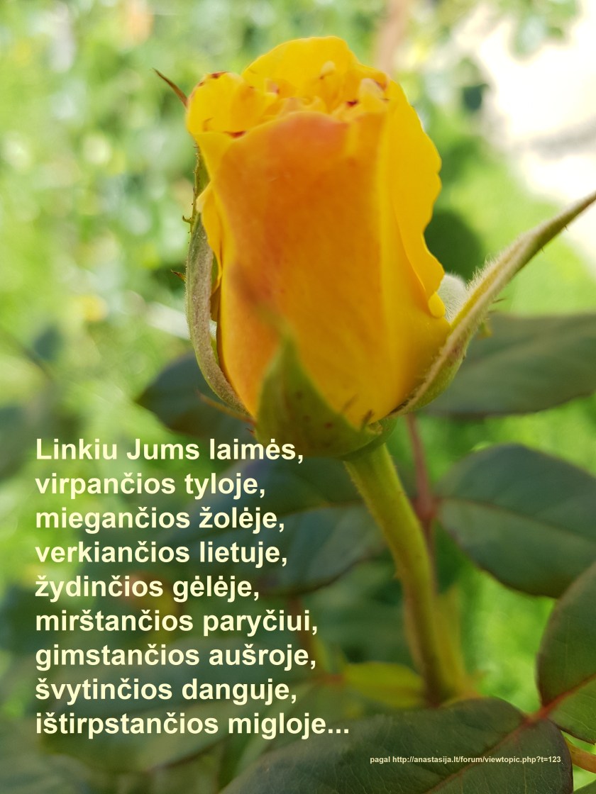 sveikinimas Kurčiųjų dienai