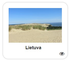 užduoties ikonėlė