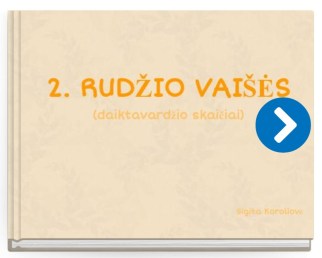 Komentaras 2020-05-24 163330