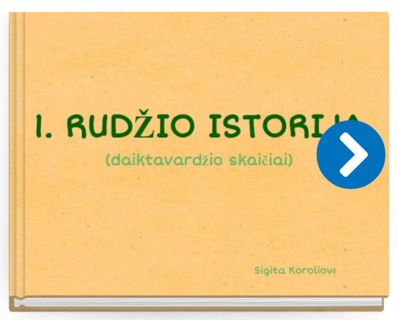 Komentaras 2020-05-24 163450